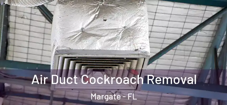Air Duct Cockroach Removal Margate - FL