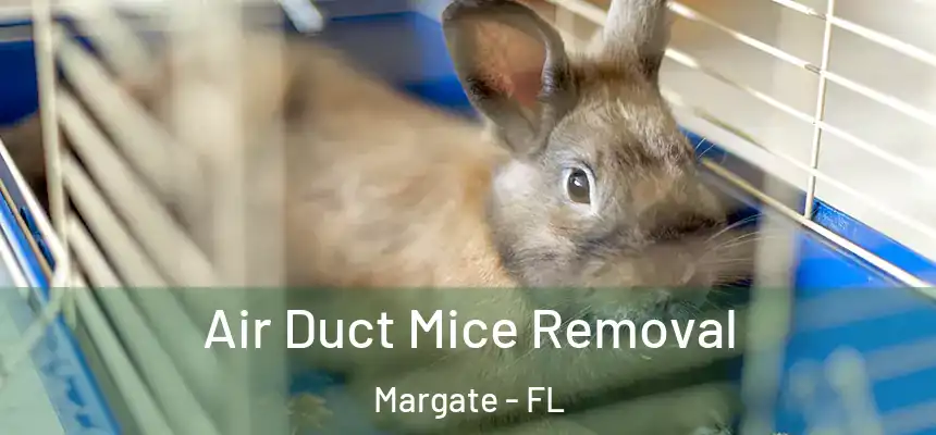 Air Duct Mice Removal Margate - FL