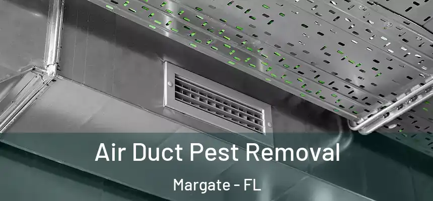 Air Duct Pest Removal Margate - FL