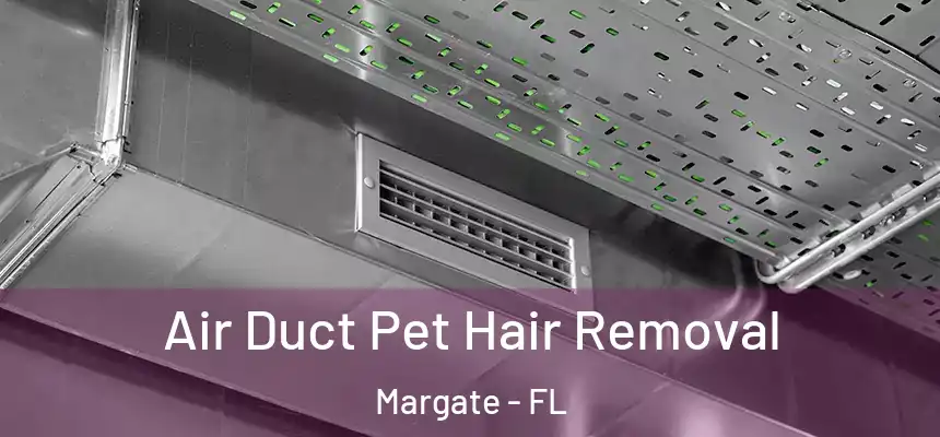 Air Duct Pet Hair Removal Margate - FL
