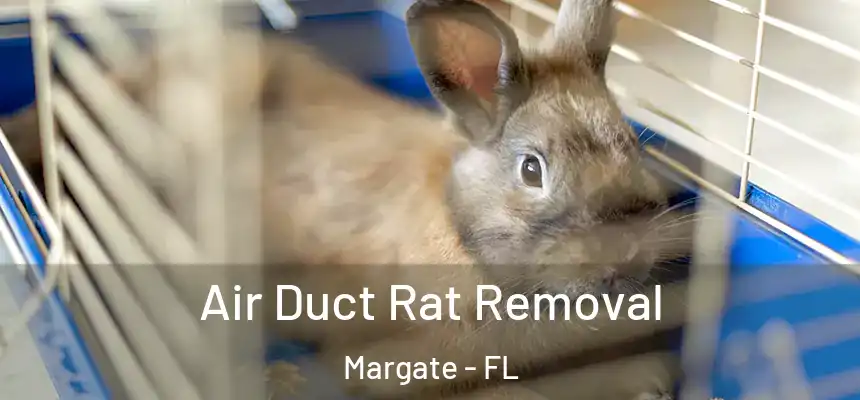 Air Duct Rat Removal Margate - FL