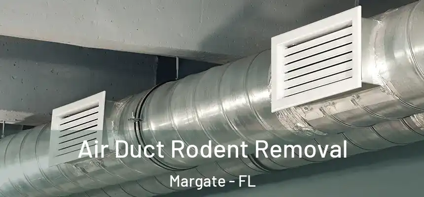 Air Duct Rodent Removal Margate - FL