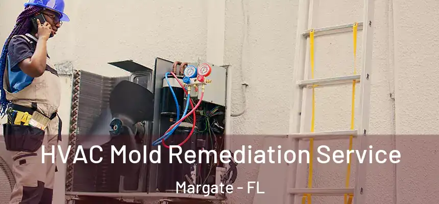 HVAC Mold Remediation Service Margate - FL