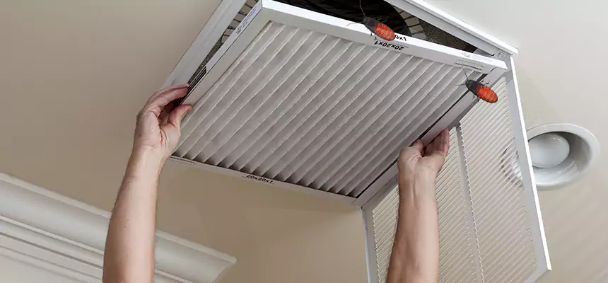 Our Insect Removal from Air Ducts Services in Margate, FL
