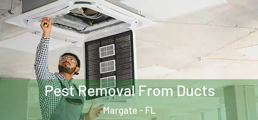 Pest Removal From Ducts Margate - FL