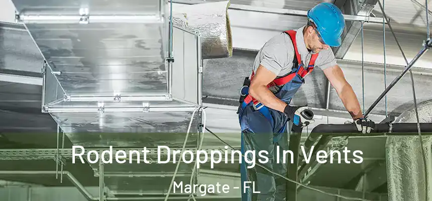 Rodent Droppings In Vents Margate - FL