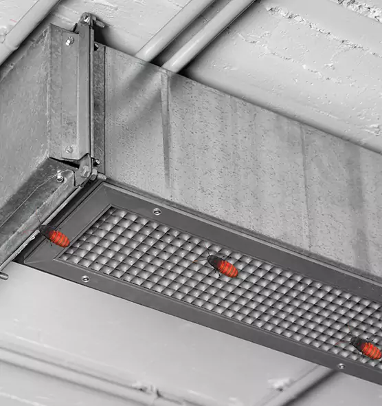 About Air Duct Cockroach Removal in Margate, FL