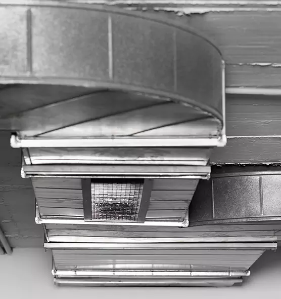 Professional Air Duct Pest Removal in Margate, FL