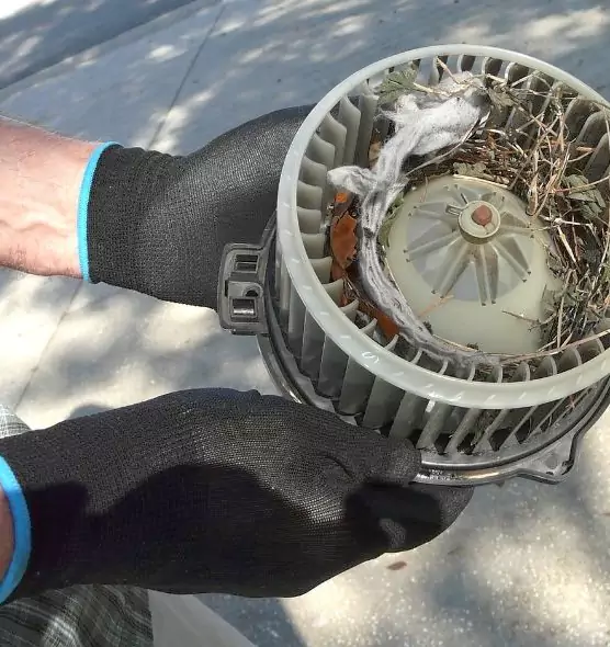 About Air Duct Rat Removal in Margate, FL