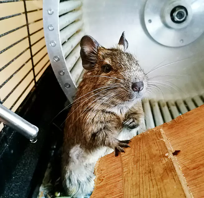 Why Homeowners & Businesses Trust Us Margate, FL