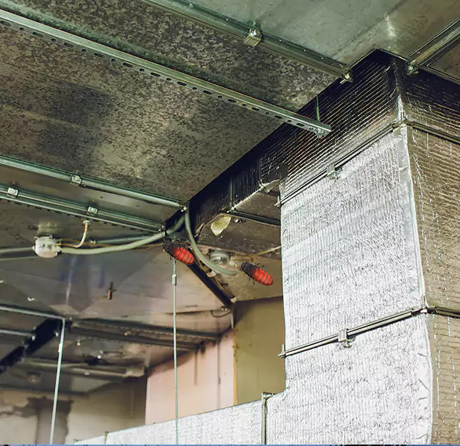 Why Homeowners & Businesses Trust Us Margate, FL?