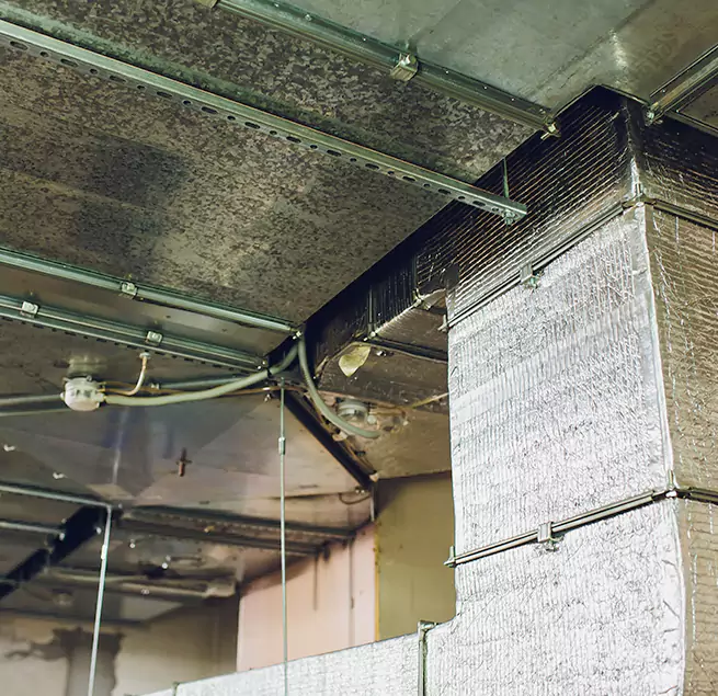 Why Homeowners & Businesses Trust Us in Margate, FL?